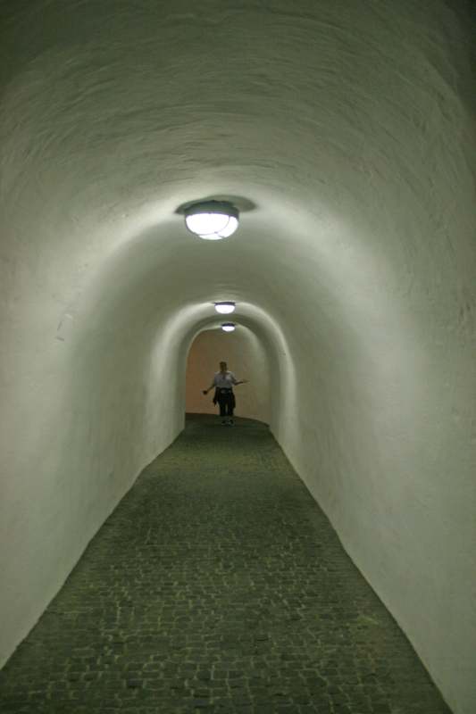 Neuschwanstein juni 2011 - 106